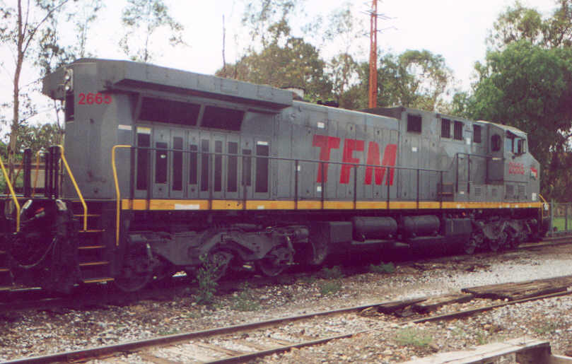 2665a.jpg
